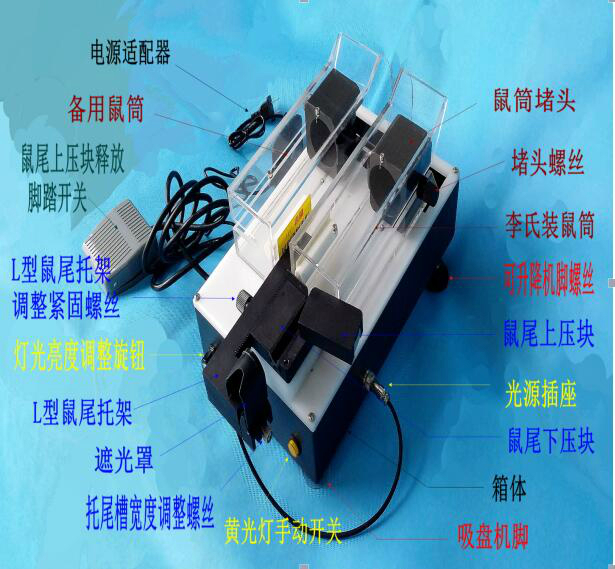 静脉可视尾注固定器