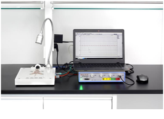 大小鼠心电测试平台